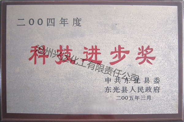 2004年科技进步奖